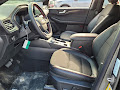 2025 Ford Escape Hybrid ST-Line
