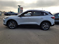 2025 Ford Escape Hybrid ST-Line