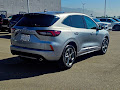 2024 Ford Escape Hybrid ST-Line